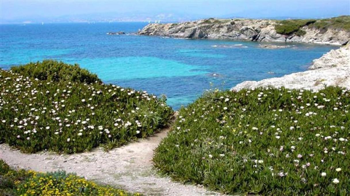 Villa Spacieuse, Climatisation, Piscine, Jardin Paysage, Proche Mer แซ็งต์-ซีร์-ซูร์-แมร์ ภายนอก รูปภาพ